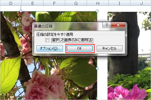 5．	「画像の圧縮」画面を「OK」ボタンで閉じます。