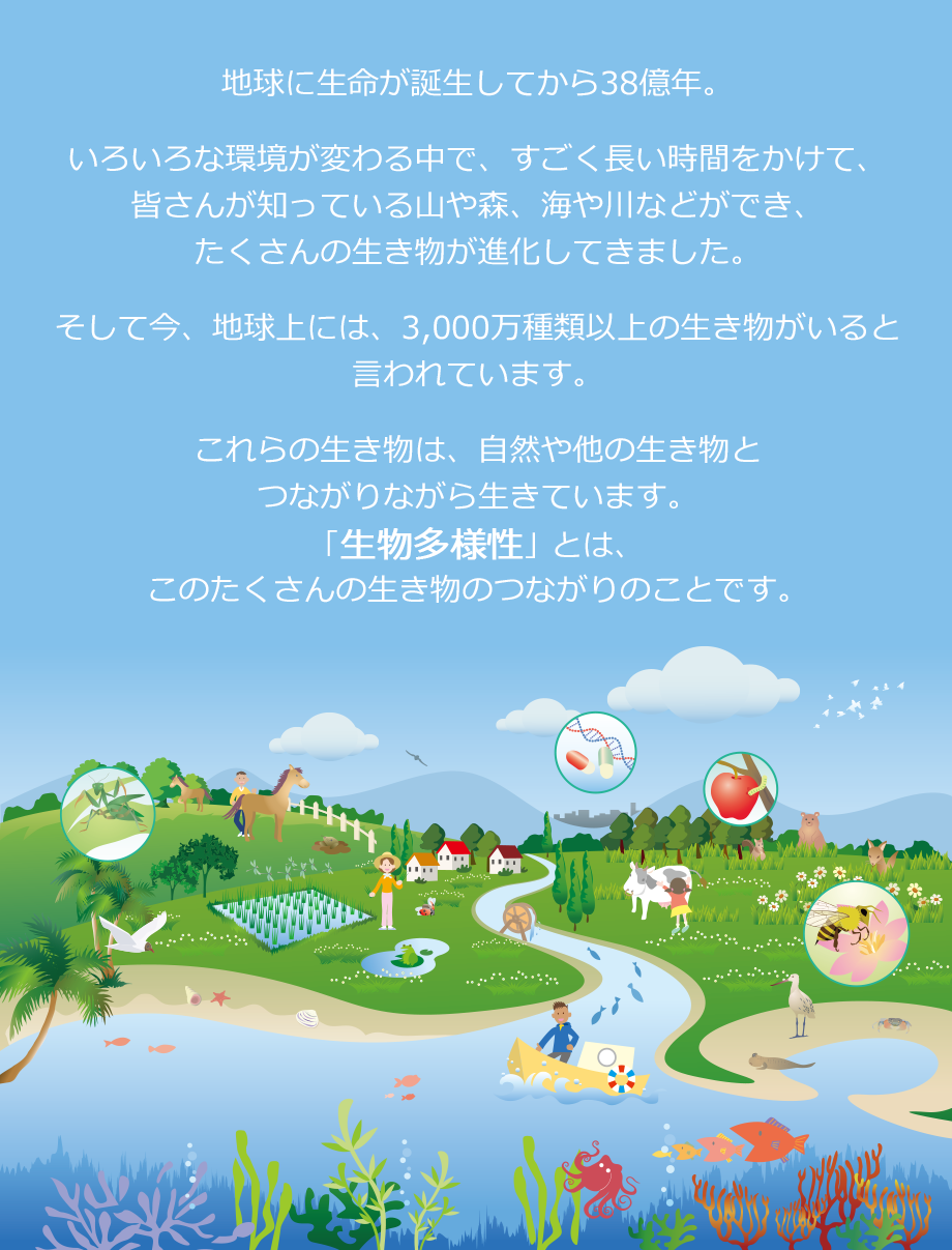 生物多様性ってなに？