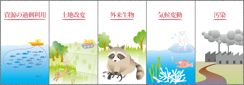 生物多様性ってなに？