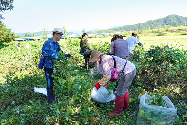 公益財団法人高知県牧野記念財団 協働団体 サステナビリティ キヤノンマーケティングジャパン株式会社 公益財団法人高知県牧野記念財団 協働団体 サステナビリティ キヤノンマーケティングジャパン株式会社
