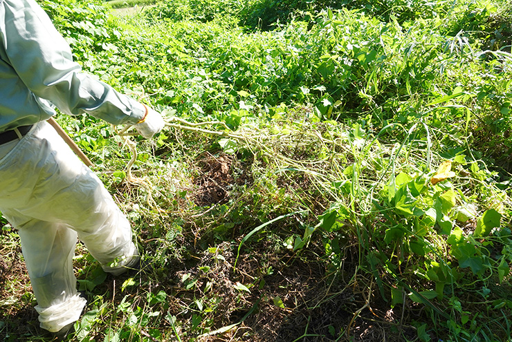 みんなの活動一覧 2020年 まもろう サステナビリティ キヤノンマーケティングジャパン株式会社