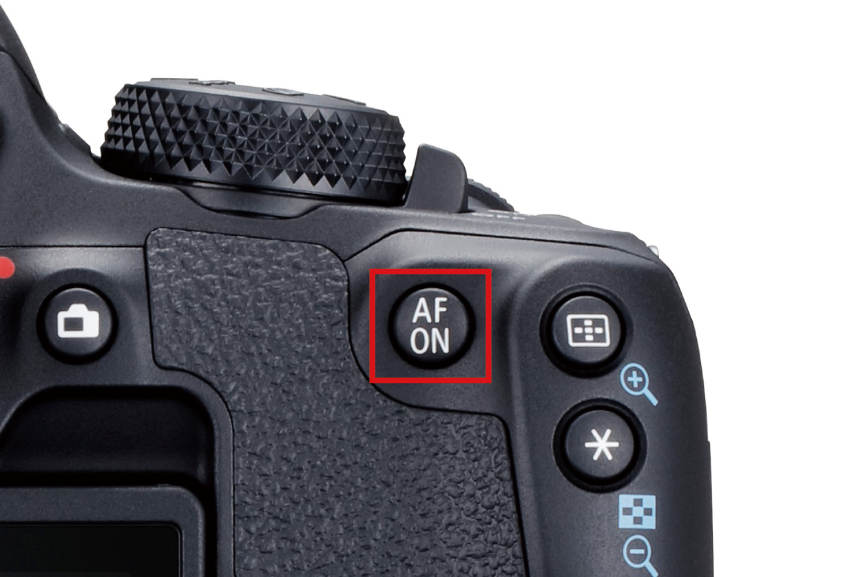 エントリークラスのデジタル一眼レフカメラ