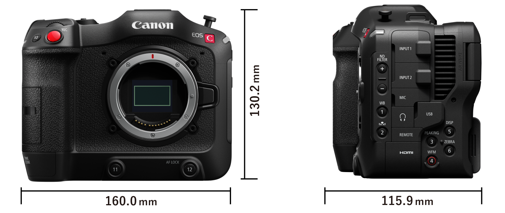 【おまけあり】シネマカメラ EOS C70 おまけあり】シネマカメラ EOS C70 おまけあり】シネマカメラ