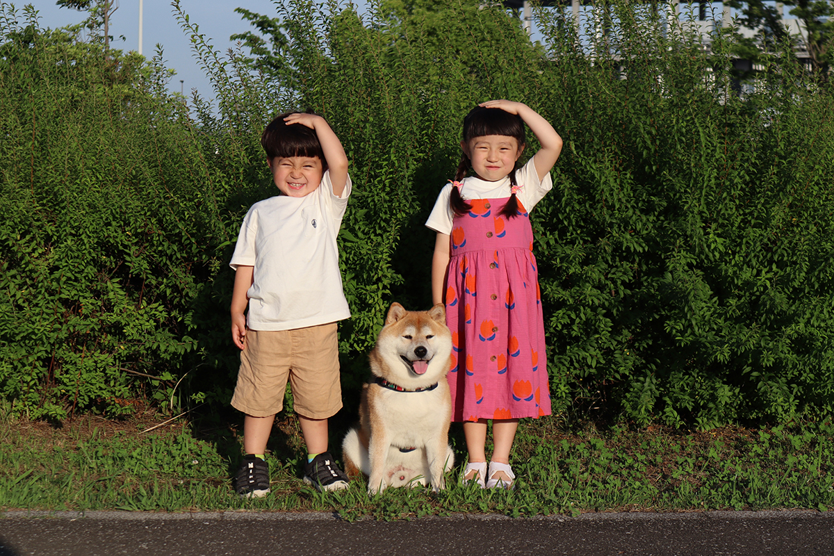 柴犬の銀次郎は 我が家の愛され長男坊 銀兄ちゃんと津野田さんご一家 好きをかたちに Itoshino 個人のお客さま キヤノン 柴犬の銀次郎は 我が家の愛され長男坊 銀兄ちゃんと津野田さんご一家 好きをかたちに Itoshino 個人のお客さま キヤノン