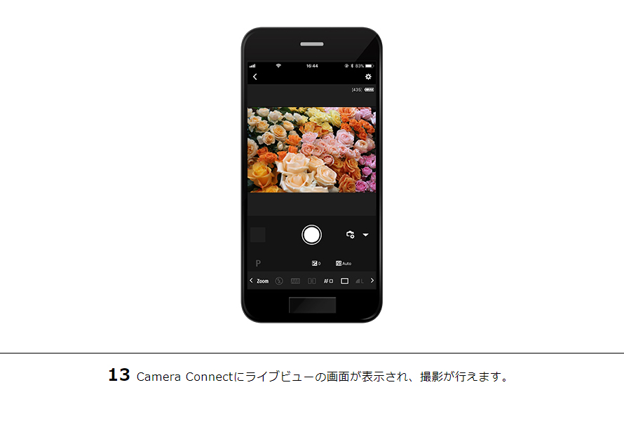 13Camera Connectにライブビューの画面が表示され、撮影が行えます。