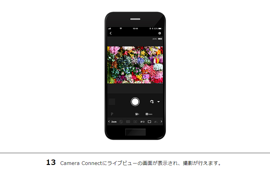 13 Camera Connectにライブビューの画面が表示され、撮影が行えます。