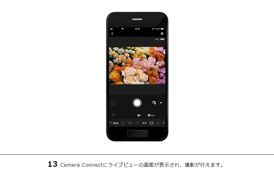 13Camera Connectにライブビューの画面が表示され、撮影が行えます。