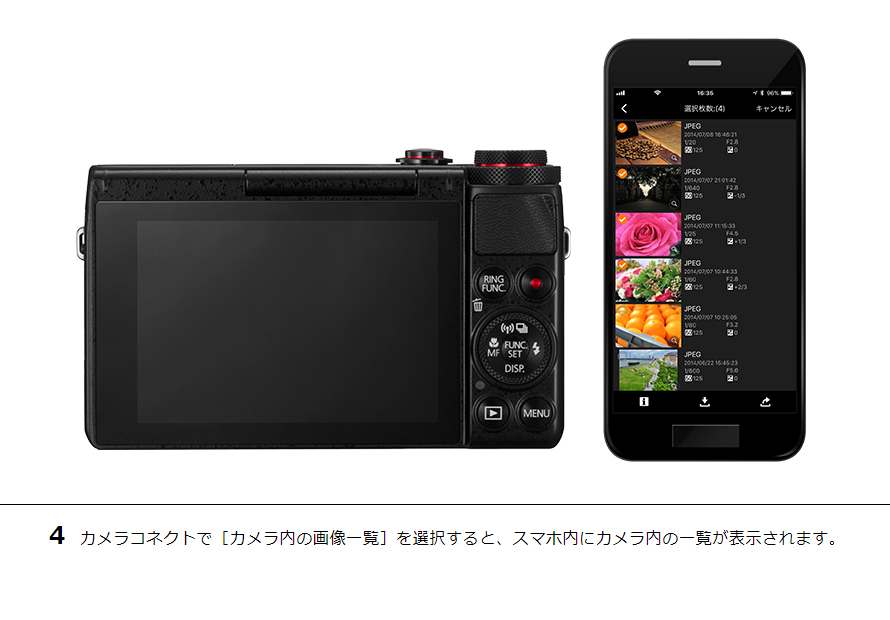 Amazon.com : Canon PowerShot SX530 HS 16.0 MP CMOS Digital