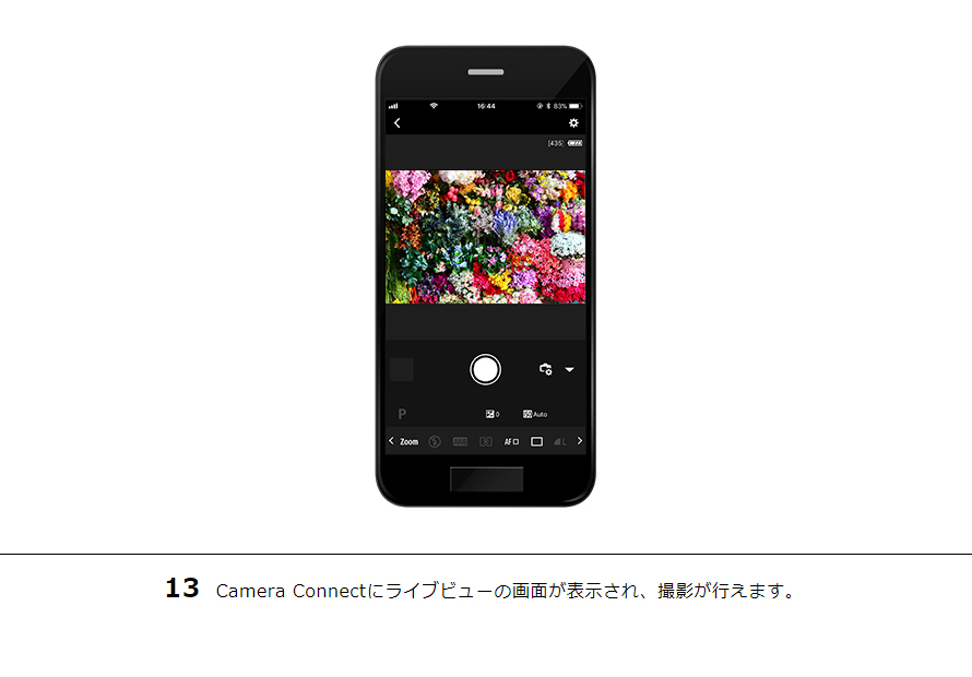 13 Camera Connectにライブビューの画面が表示され、撮影が行えます。