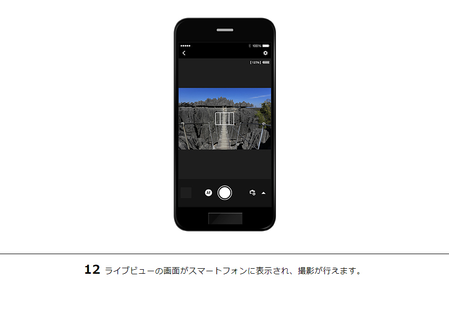 12ライブビューの画面がスマートフォンに表示され、撮影が行えます。