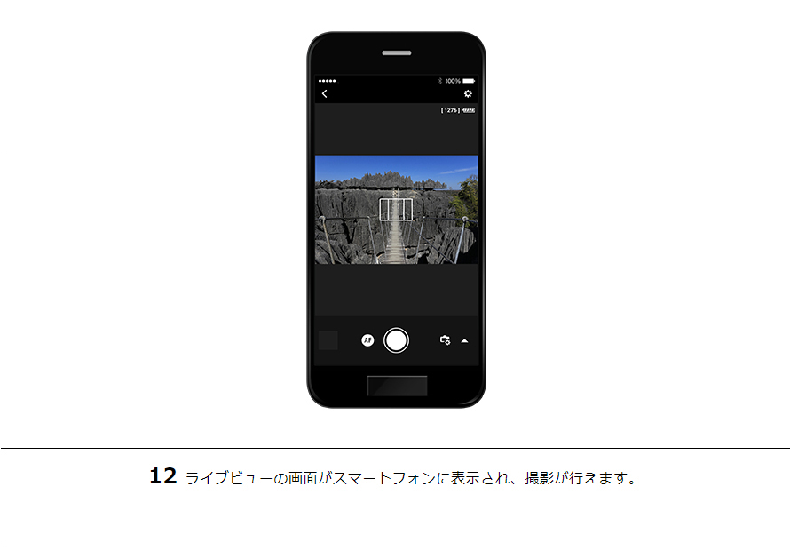 12ライブビューの画面がスマートフォンに表示され、撮影が行えます。