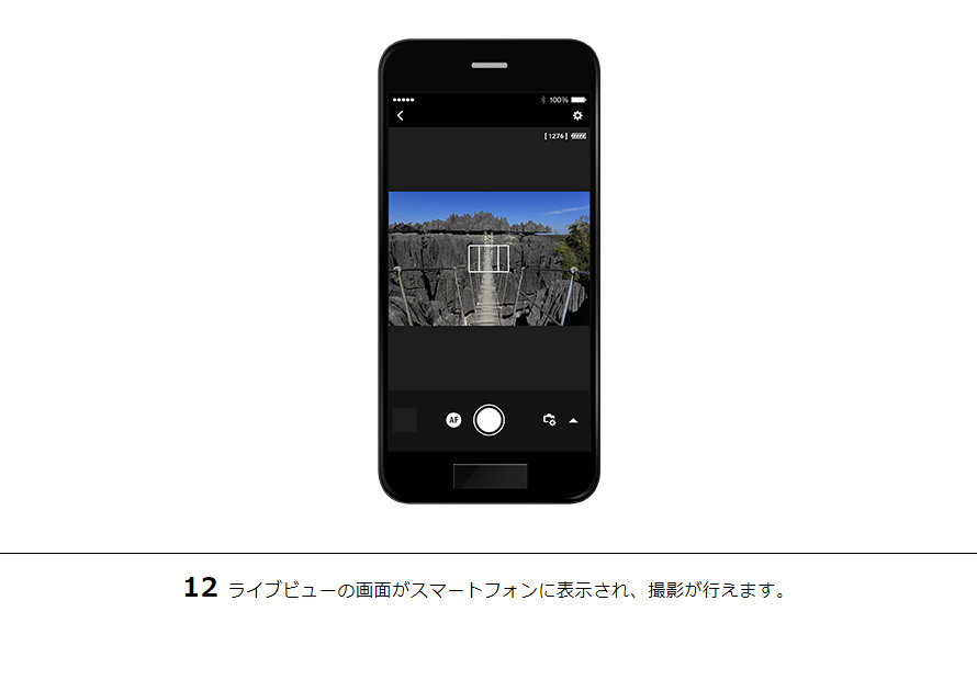 12ライブビューの画面がスマートフォンに表示され、撮影が行えます。