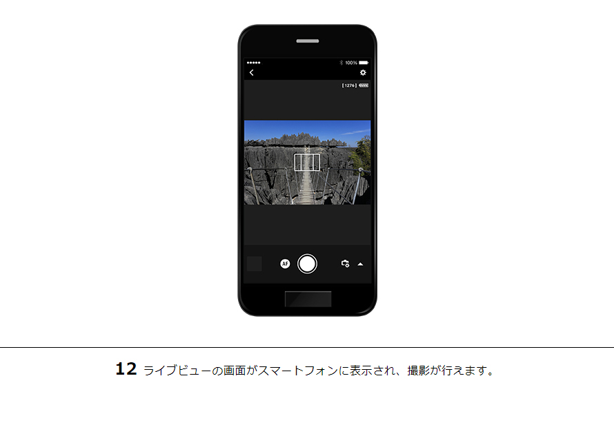 12 ライブビューの画面がスマートフォンに表示され、撮影が行えます。