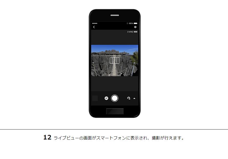 12ライブビューの画面がスマートフォンに表示され、撮影が行えます。