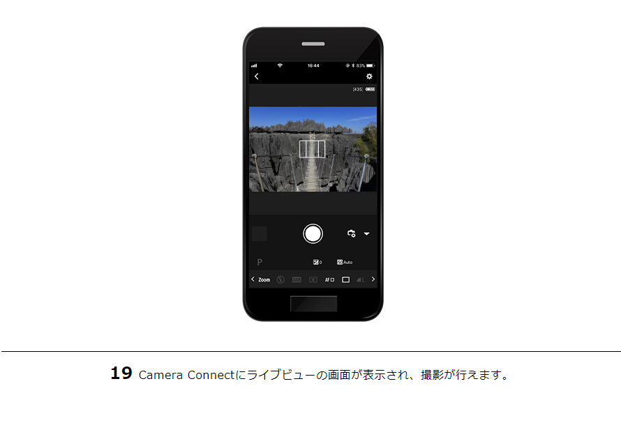 19Camera Connectにライブビューの画面が表示され、撮影が行えます。