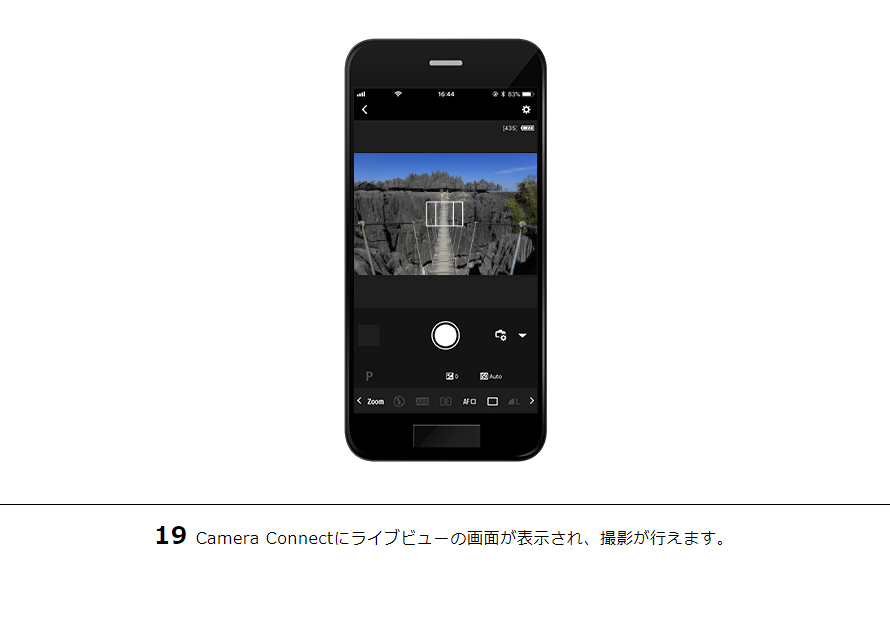 19Camera Connectにライブビューの画面が表示され、撮影が行えます。