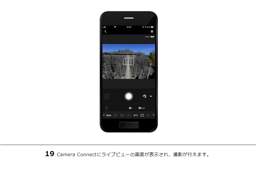 19Camera Connectにライブビューの画面が表示され、撮影が行えます。