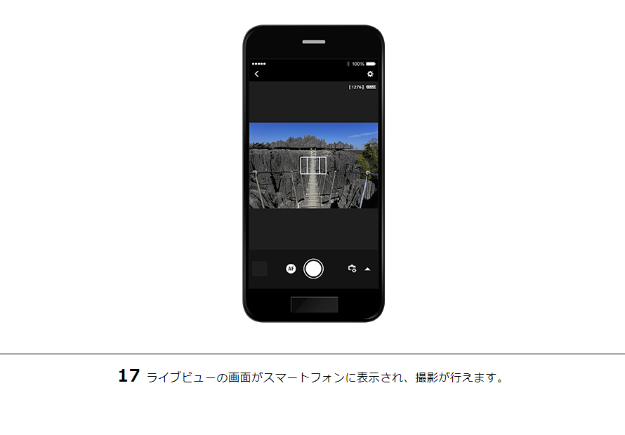 17ライブビューの画面がスマートフォンに表示され、撮影が行えます。