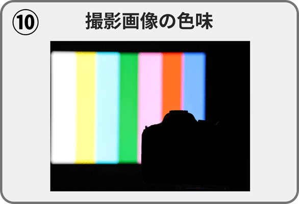 （10）撮影画像の色味