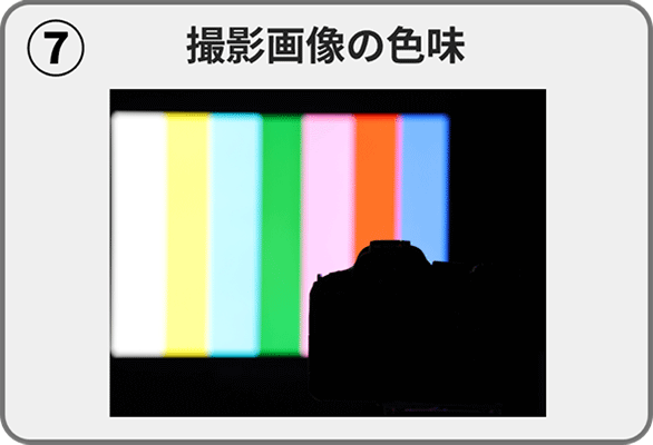 (7)撮影画像の色味
