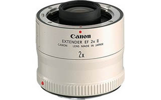 CANON EXTENDER EF2×II www.krzysztofbialy.com