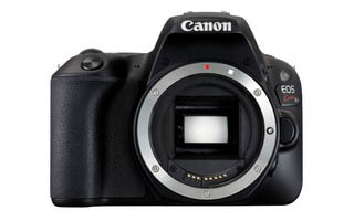 動作確認済み 送料無料 CANON EOS Kiss X4#329